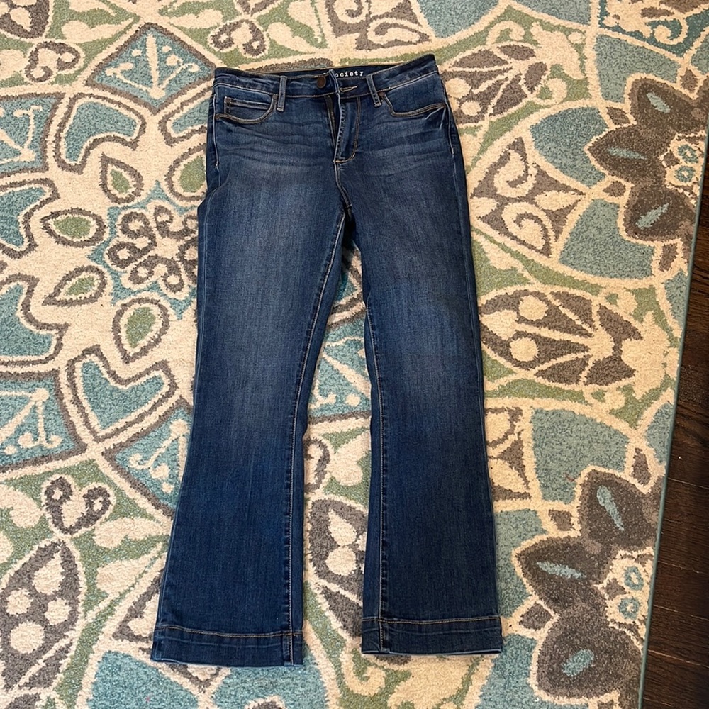 Articles of Society high waisted crop flare jeans